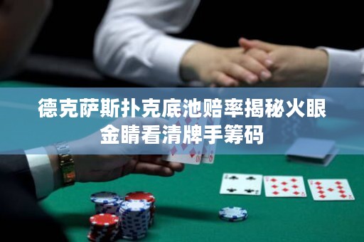 德克萨斯扑克底池赔率揭秘火眼金睛看清牌手筹码