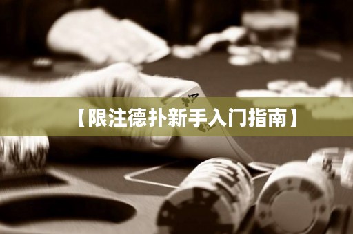 【限注德扑新手入门指南】