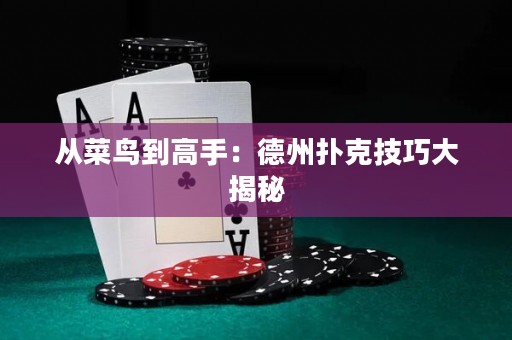 从菜鸟到高手：德州扑克技巧大揭秘