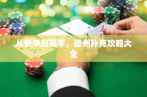 从新手到高手，德州扑克攻略大全