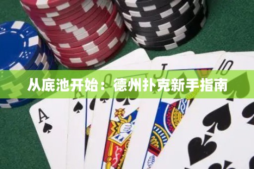 从底池开始：德州扑克新手指南