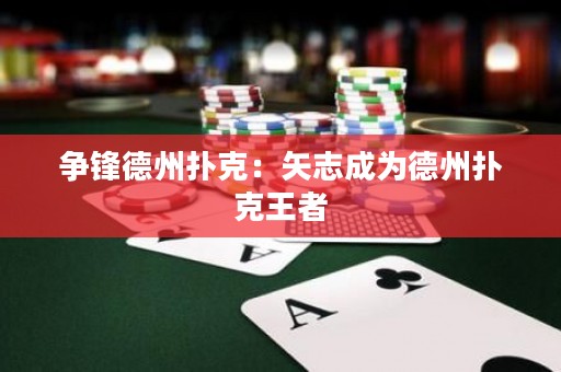 争锋德州扑克：矢志成为德州扑克王者