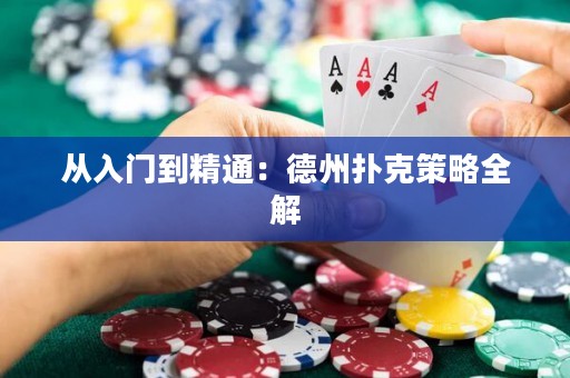 从入门到精通：德州扑克策略全解