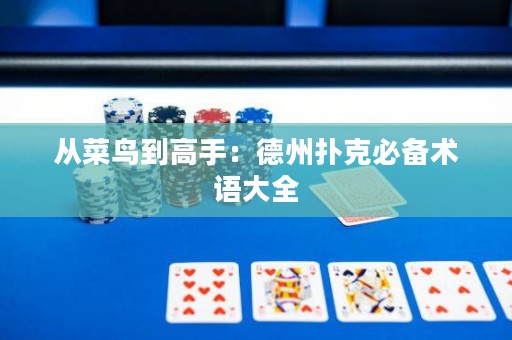从菜鸟到高手：德州扑克必备术语大全