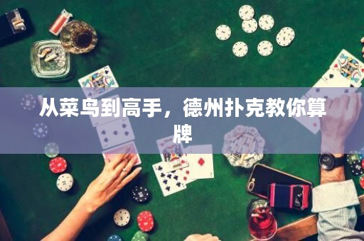 从菜鸟到高手，德州扑克教你算牌