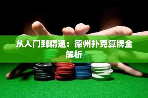 从入门到精通：德州扑克算牌全解析