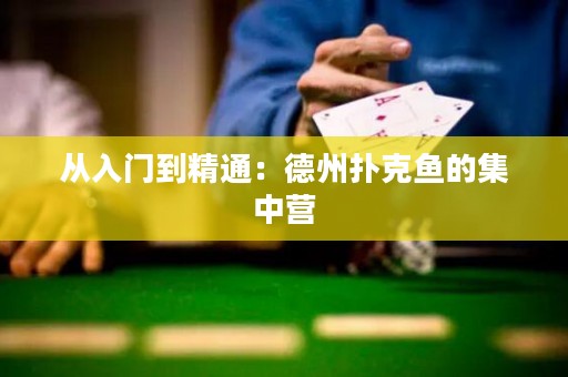 从入门到精通：德州扑克鱼的集中营