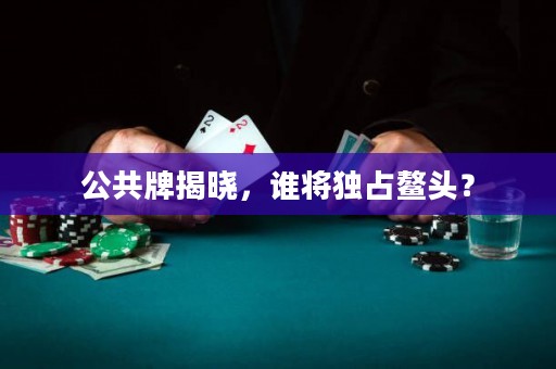 公共牌揭晓，谁将独占鳌头？