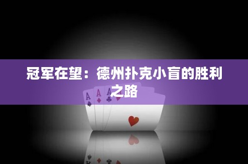冠军在望：德州扑克小盲的胜利之路
