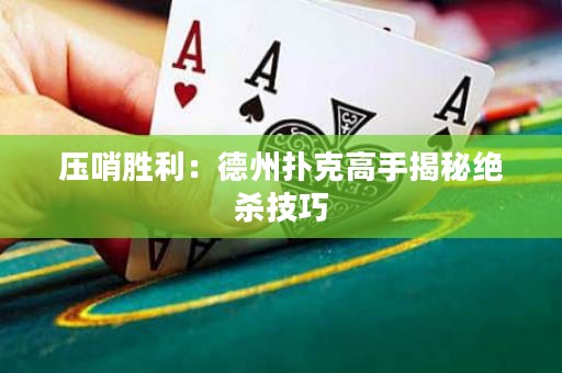 压哨胜利：德州扑克高手揭秘绝杀技巧