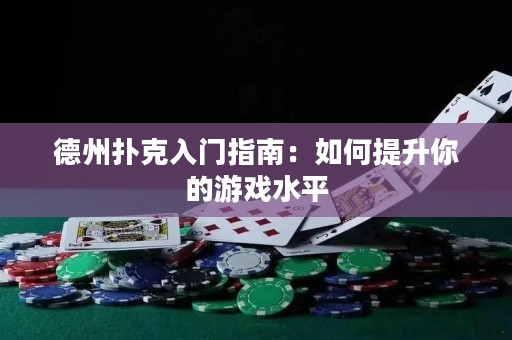 德州扑克入门指南：如何提升你的游戏水平