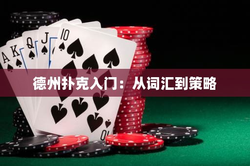 德州扑克入门：从词汇到策略