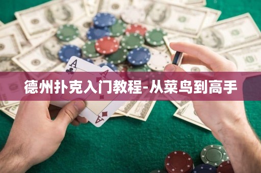德州扑克入门教程-从菜鸟到高手