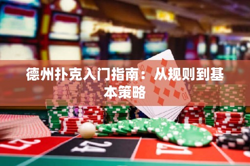 德州扑克入门指南：从规则到基本策略