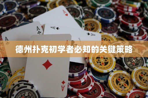 德州扑克初学者必知的关键策略