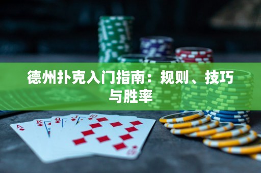 德州扑克入门指南：规则、技巧与胜率