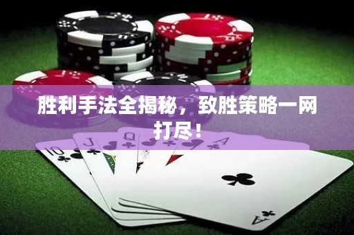 胜利手法全揭秘，致胜策略一网打尽！