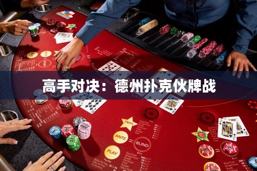 高手对决：德州扑克伙牌战
