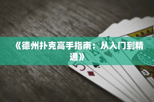 《德州扑克高手指南：从入门到精通》